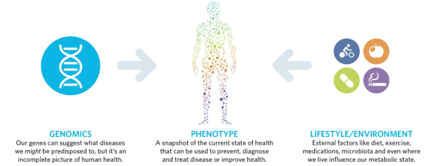 Metabolomics integrates the effects of the environment with the effects of genetics